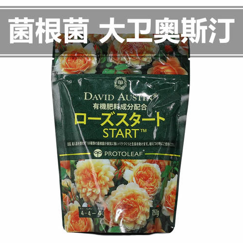 月季用菌根菌微生物底肥根系健康