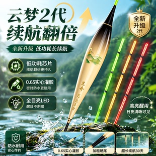 云梦泽2代大续航0.65mm极细硬尾超醒目高灵敏日夜两用电子夜光漂
