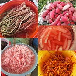 湖南湘西特产农家自制萝卜酸菜辰溪酸萝卜脆萝卜夜夜酸燎萝卜根菜