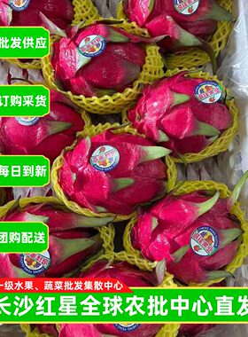京都一号蜜宝火龙果红心火龙果甜