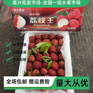 嘉兴一级水果批发市场海南严精品大果火山口荔枝王送礼甜新鲜包邮