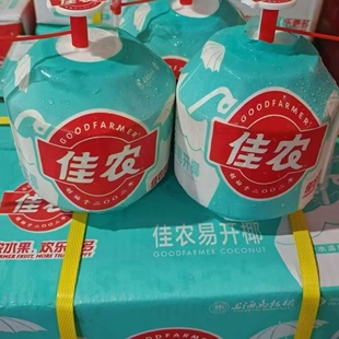 每日到新泰国香水椰青佳农易开大果椰子清甜嘉兴水果市场源头开柜
