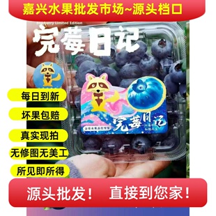 一级水果批fa市场 大果香脆甜花香蓝莓L25 云南上嘉金狐狸蓝莓18