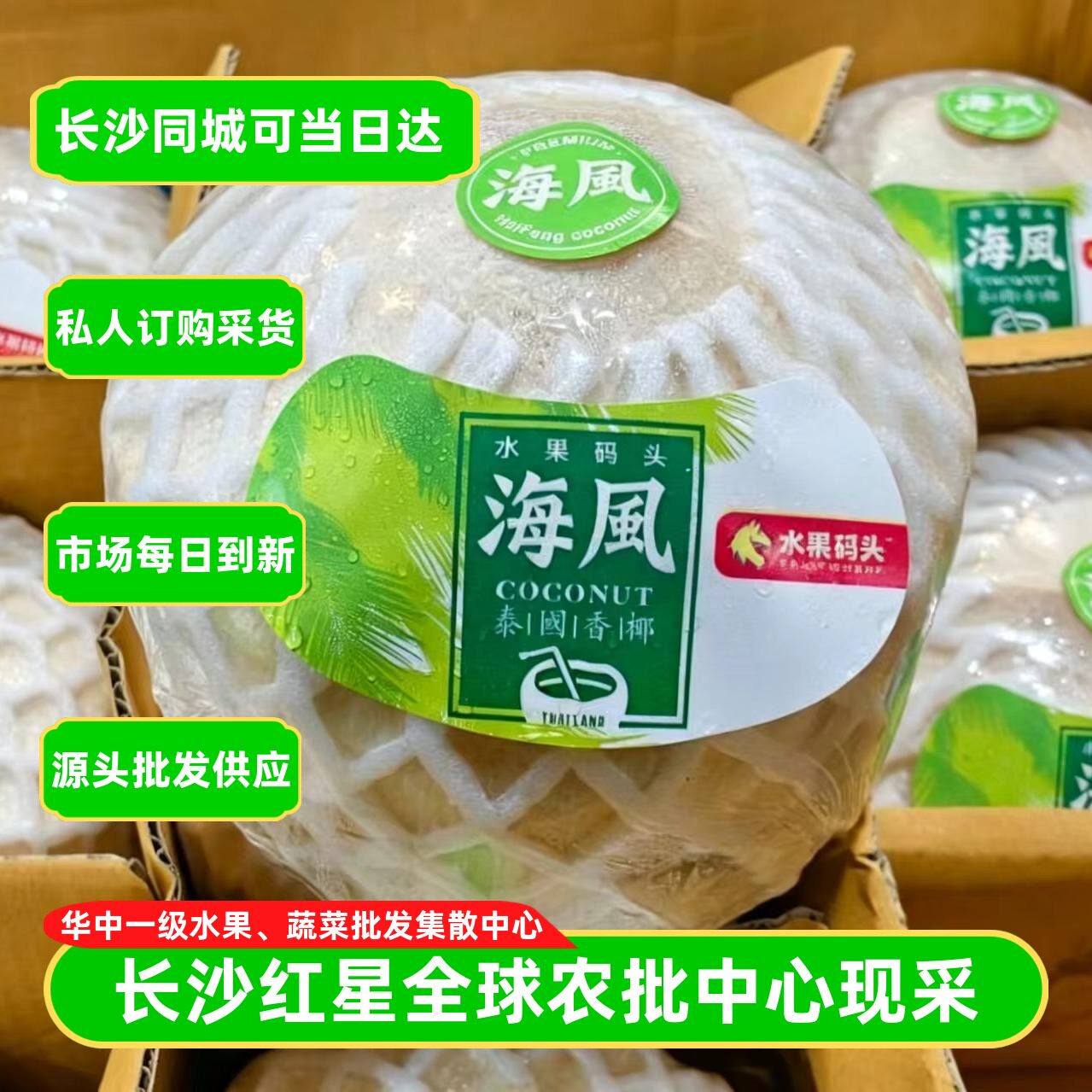 新货海风牌泰国香水椰青大果批发