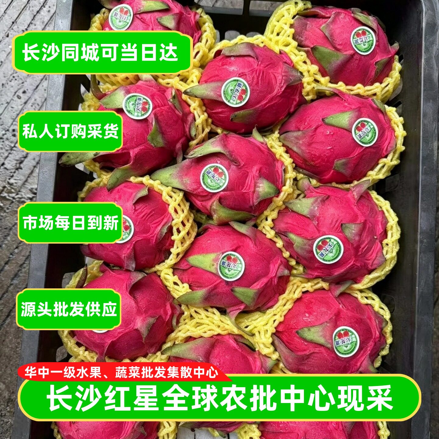 海南蜜宝京都一号红心火龙果中果
