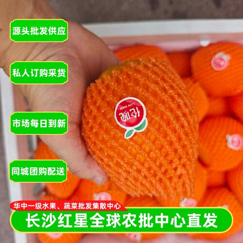 新货精选湖北秭归伦晚橙新鲜甜橙