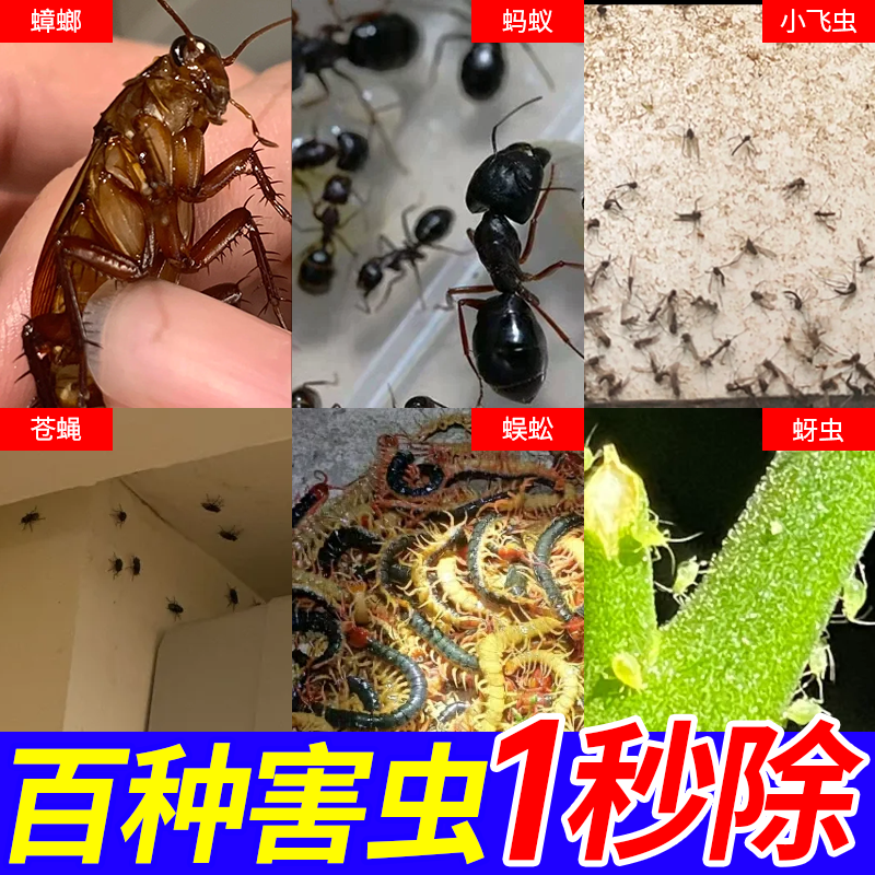 杀虫剂家用室内无毒蚂蚁蟑螂药苍蝇跳蚤全窝端月季花病虫害常用药