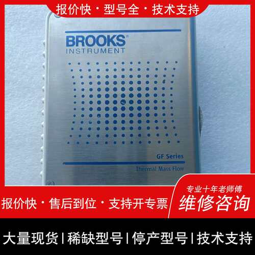 BROOKS计GF100CXXC HE 500SCCM维修