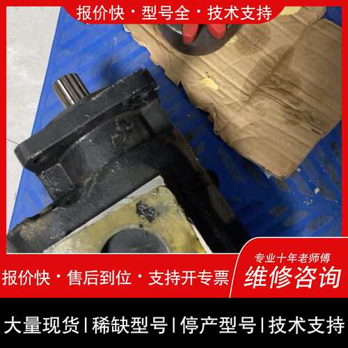 可维修GRH油泵，型号，4PF200F312S68L，轴头30mm议价
