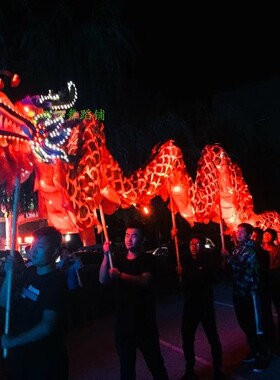 舞龙舞龙道具牛津布五千年龙灯烫金灯光龙国标龙龙皮亮铜线LED