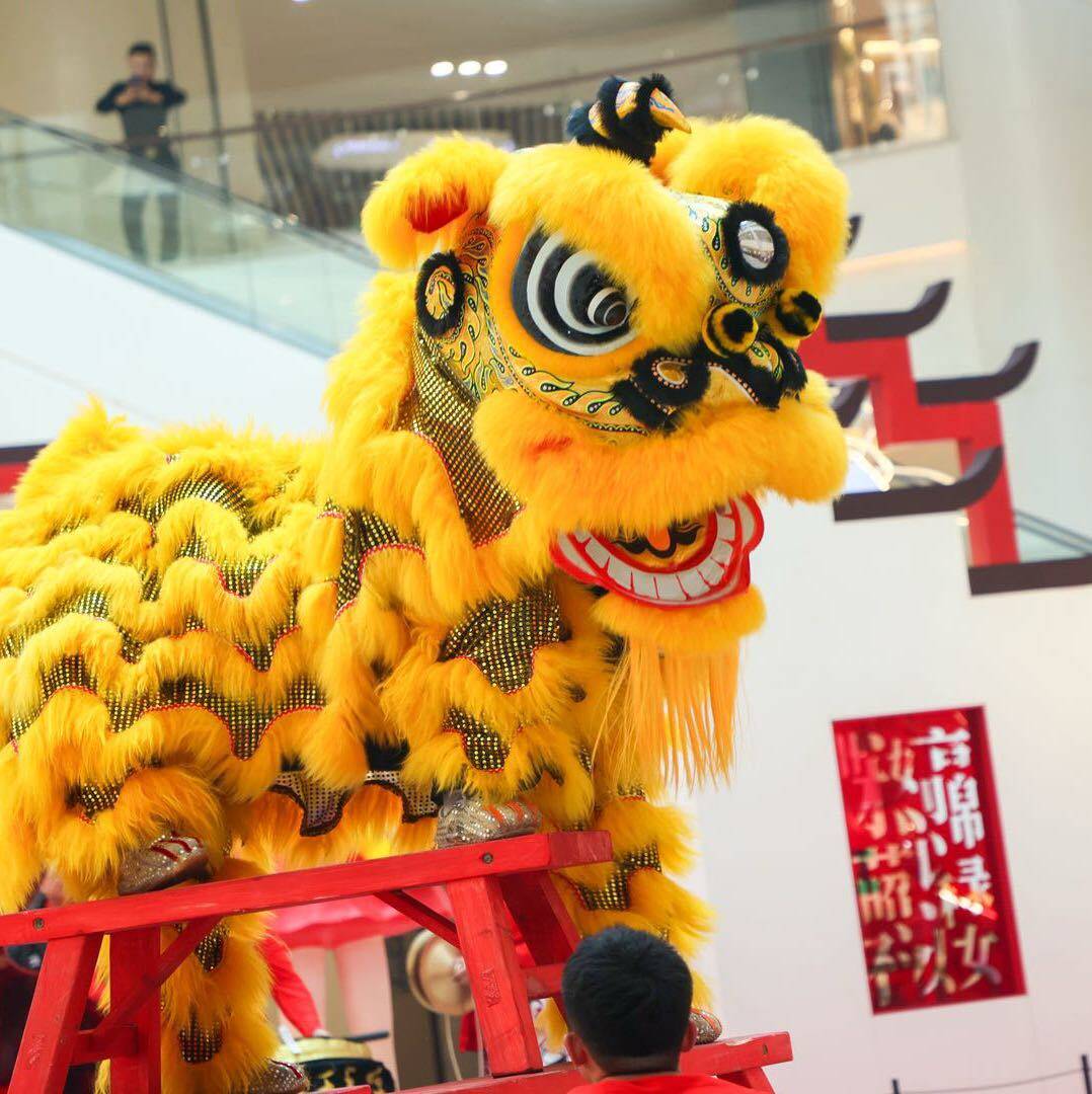 广东醒狮南狮醒狮竹扎南狮舞狮广东醒狮佛山醒狮南狮澳洲羊毛醒狮