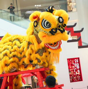 广东醒狮南狮醒狮竹扎南狮舞狮广东醒狮佛山醒狮南狮澳洲羊毛醒狮