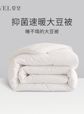 堂皇大豆纤维保暖蓄热冬季被芯