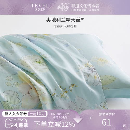 堂皇家纺兰精天丝枕套