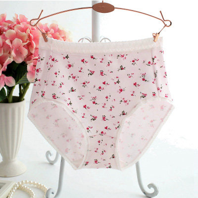 Slip Moyen-âge simple en coton - Ref 646664 Image 1