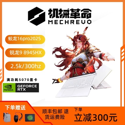 机械革命极光x蛟龙16pro电竞游戏