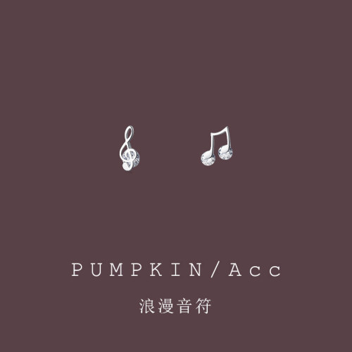 【浪漫音符】AB款耳钉轻奢高级感