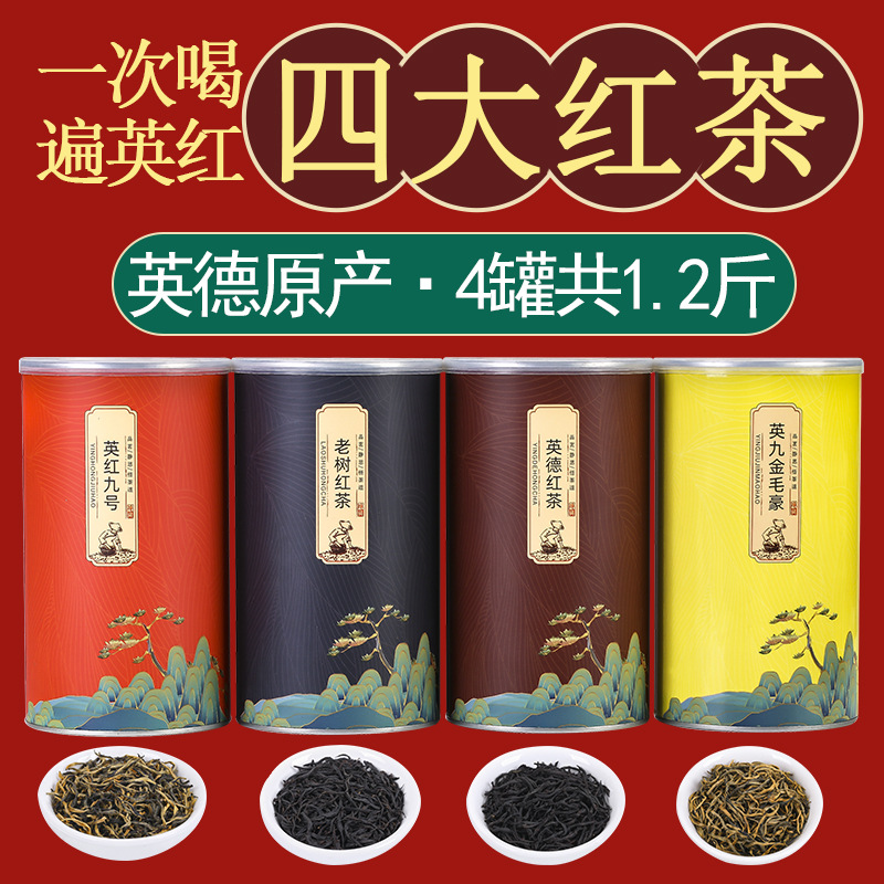 广东英德红茶英红九号春茶 疯抢新款四季发财 茶叶礼盒装