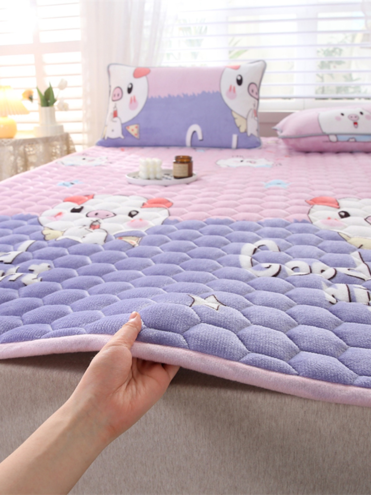 冬季法兰珊瑚绒床单毛毯加厚铺床毯子床上用学生宿舍单人绒毯加绒