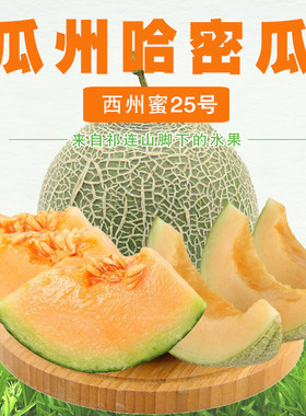 瓜州特产西州蜜哈密瓜