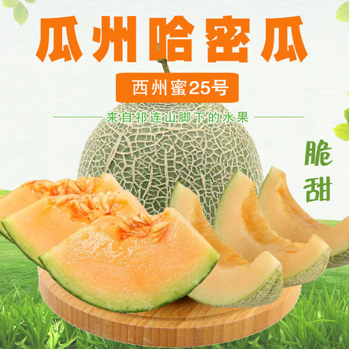 瓜州特产西州蜜哈密瓜