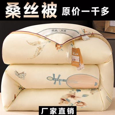 加厚桑丝被冬被棉絮冬天过冬被褥