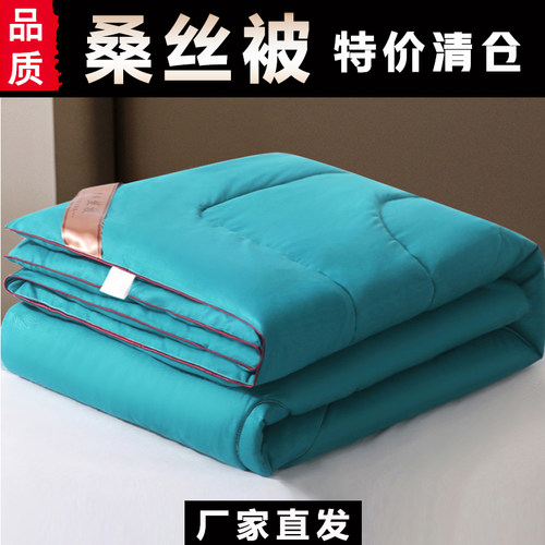 四季通用被子被芯桑丝薄款丝棉被