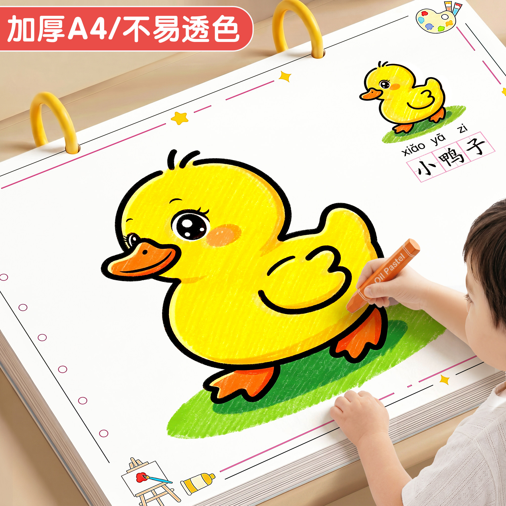 【A4大尺寸】大色块加厚不透色