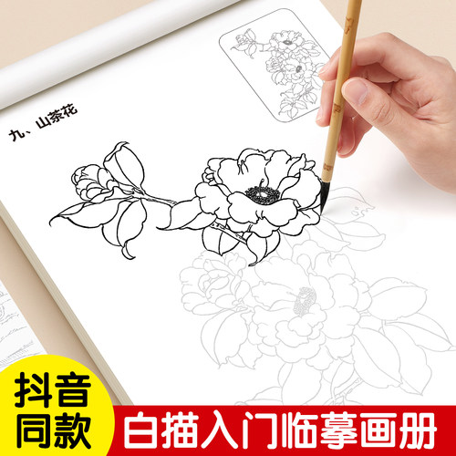 画画描绘本儿童国画入门