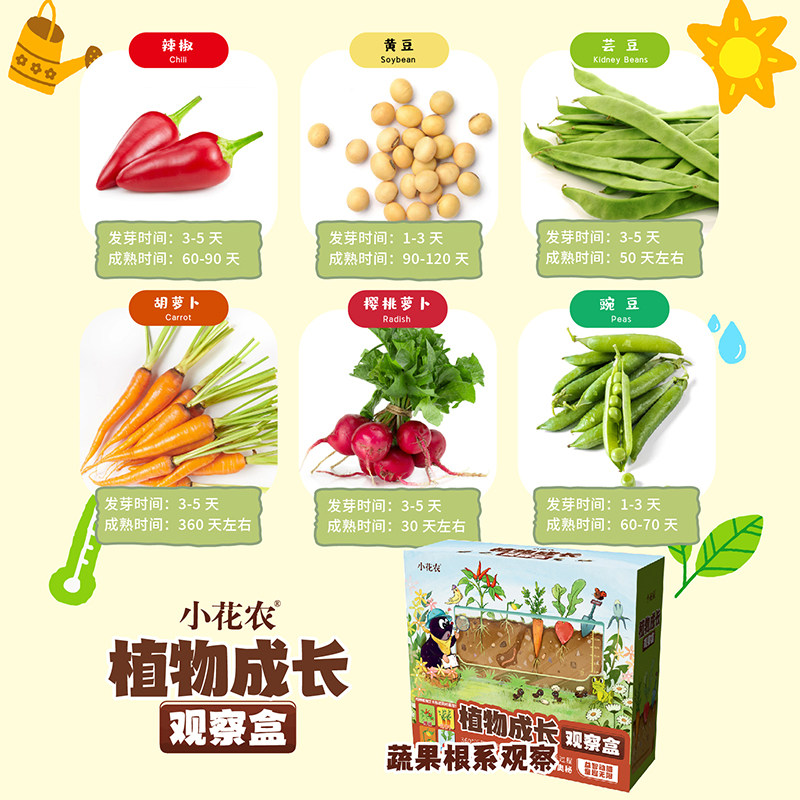 小花农种植太空物种蔬果植物儿童DIY观察手工科学实验创意玩具8