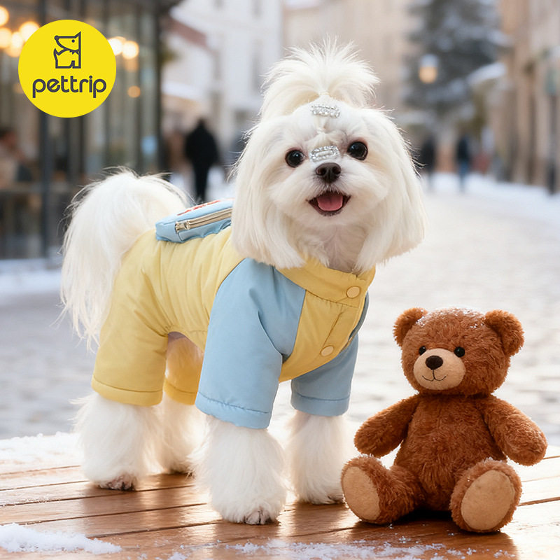 贝途秋冬装夹棉宠物小狗狗棉服小书包拼色四脚棉衣保暖加厚可牵引