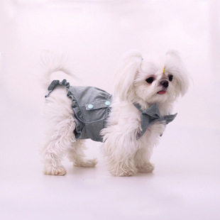 宠物狗狗防水背带生理裤狗衣服月经裤防骚扰背心母猫狗狗柯基泰迪