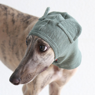 小熊安抚棉头套防惊吓围脖宠物猫帽子防掉毛小中大型犬装饰灵缇