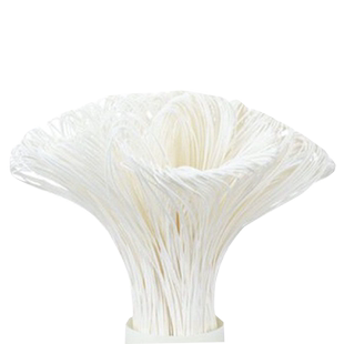 颂福净水器专用超滤膜滤芯 拍前必须联系客确认型号