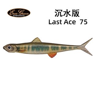 日本EverGreen缓沉软鱼FACT福岛健LastAce75仿真色i字路亚饵鲈鱼