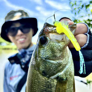 日本OSP浮水空心软鱼路亚假饵Erimaki Shad精细铅头钩火巴斯托饵