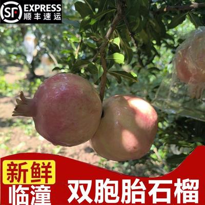 临潼双胞胎石榴新鲜水果顺丰包邮