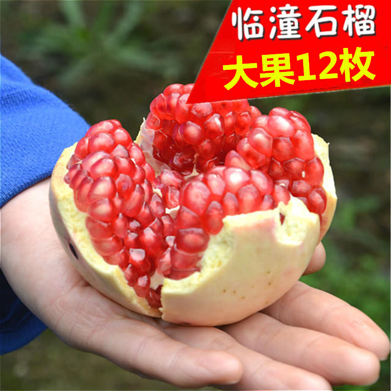 临潼石榴 新鲜水果现摘薄皮大籽甜石 榴陕西特产应季时令红籽石榴