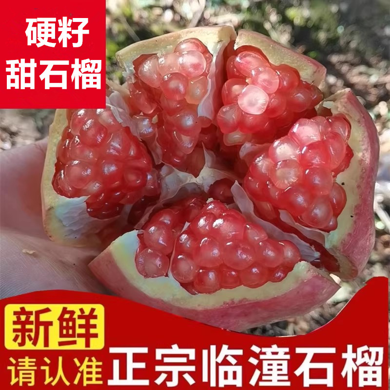 现摘当季新鲜临潼甜石榴10斤