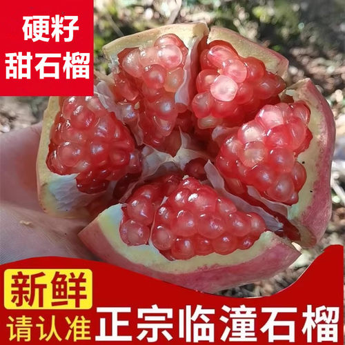 现摘当季新鲜临潼甜石榴10斤