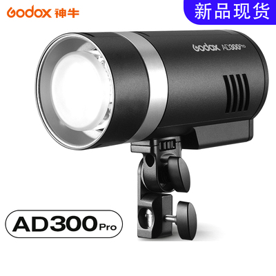 AD300PRO便携外拍灯