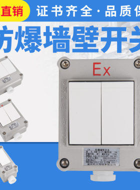 工业防爆墙壁开关明装暗装86型 单联双联三联双控 EX防爆照明开关