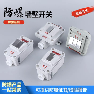 新款防爆开关国标墙壁暗装明装照明开关BQK单联双控SW-10控制开关