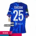2025 European Union Champions Print No. 25 + 3 Armbands
