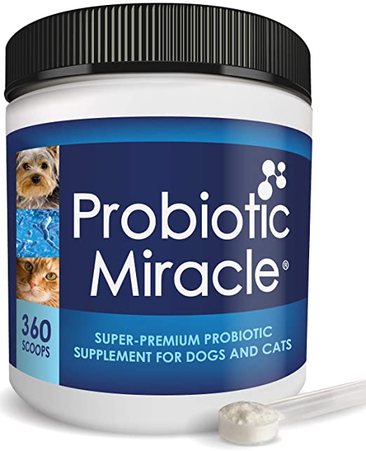 NUSENTIA Probiotic Miracle Dog Probiotics for Dogs (Up to 36