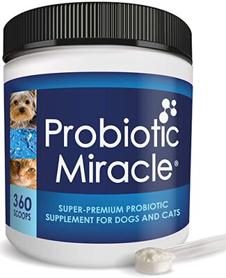 NUSENTIA Probiotic Miracle Dog Probiotics for Dogs (Up to 36