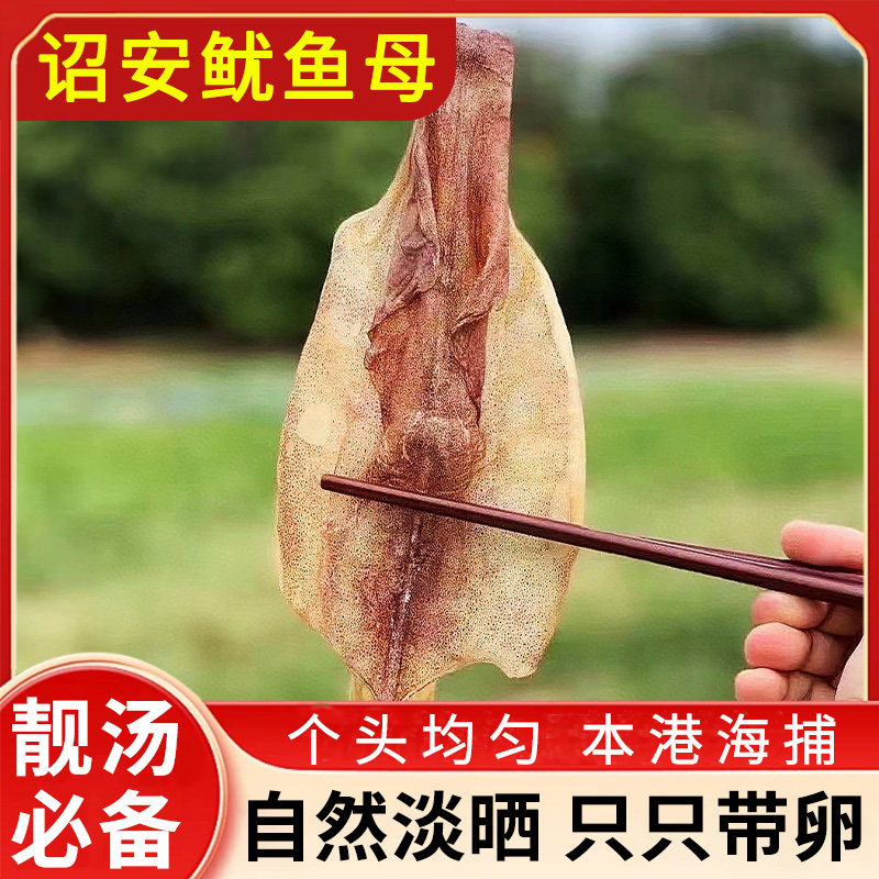 海石兄弟淡晒只只带卵鱿鱼母干