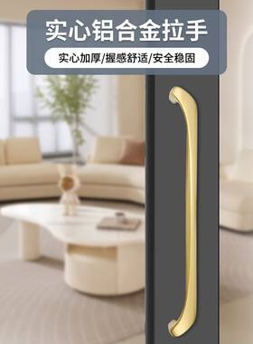 德国进口明装重型移门豪