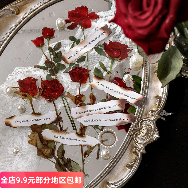 唯美清新植物与诗PET贴纸 浪漫文艺 复古告白手帐装饰素材贴画图片