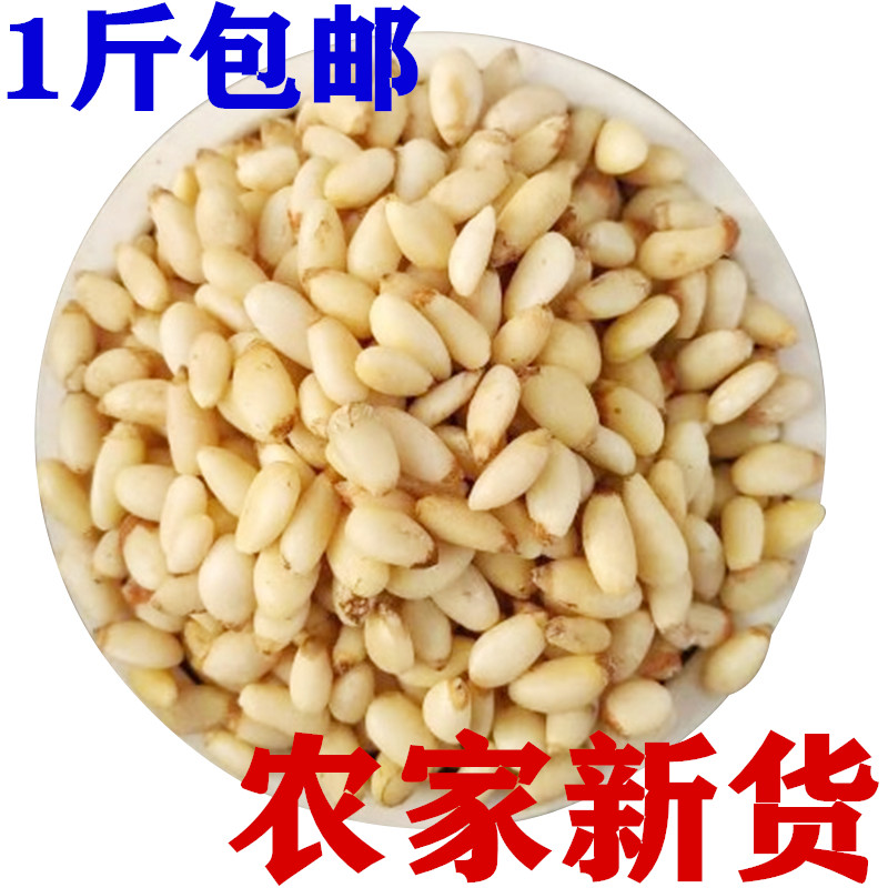 东北农家新货散装野生生松子仁原味松仁促销农产品特价500g包邮
